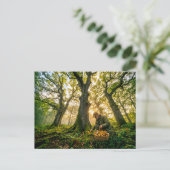 Paddenstoelenzoeker onder oude eikenbomen briefkaart (Staand voorkant)