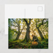 Paddenstoelenzoeker onder oude eikenbomen briefkaart (Voorkant / Achterkant)