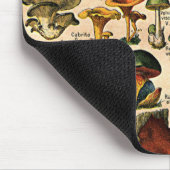 paddenstoelgids muismat (Hoek)