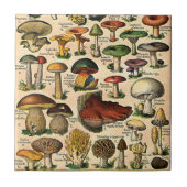  paddenstoelgids tegeltje (Voorkant)