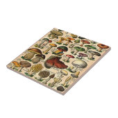 paddenstoelgids tegeltje (Zijkant)