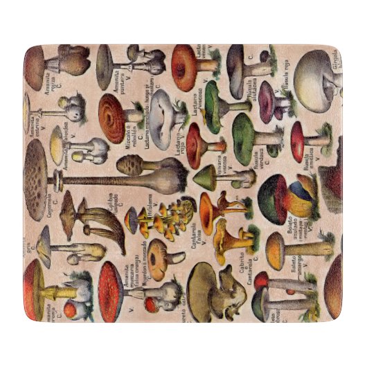  paddenstoelgids Uitsnijdbord Snijplank (Voorkant)