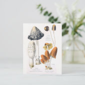 Paddenstoelgroenten Botanisch Briefkaart (Staand voorkant)