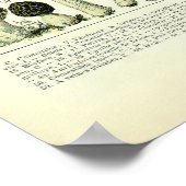  paddenstoelillustraties van Adolphe Millot Poster (Hoek)