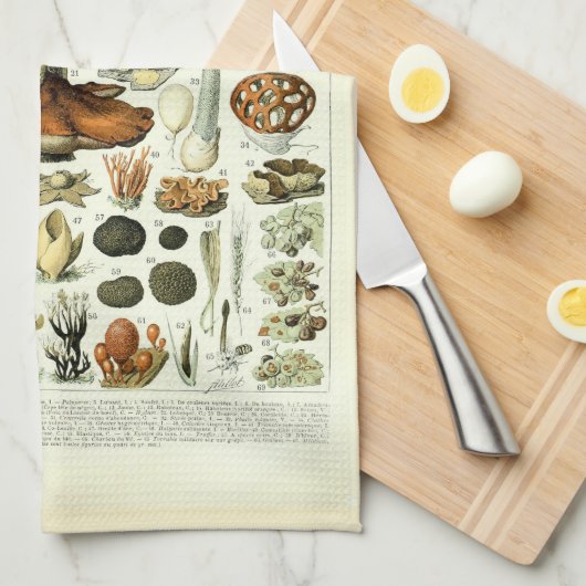 paddenstoelillustraties van Adolphe Millot Theedoek (Quarter Fold)