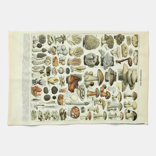  paddenstoelillustraties van Adolphe Millot Theedoek (Horizontaal)