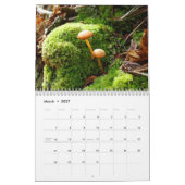 paddenstoelkalender kalender (Mar 2027)