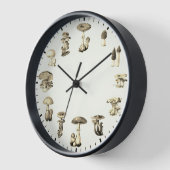 Paddenstoelklok - paddenstoelillustratie (Hoek)