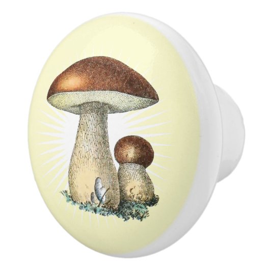 paddenstoelkunst keramische knop (Rechts)