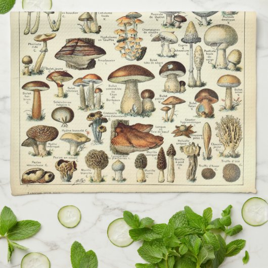  paddenstoelkunst van 1909 van Adolphe Millot Theedoek (Gevouwen)