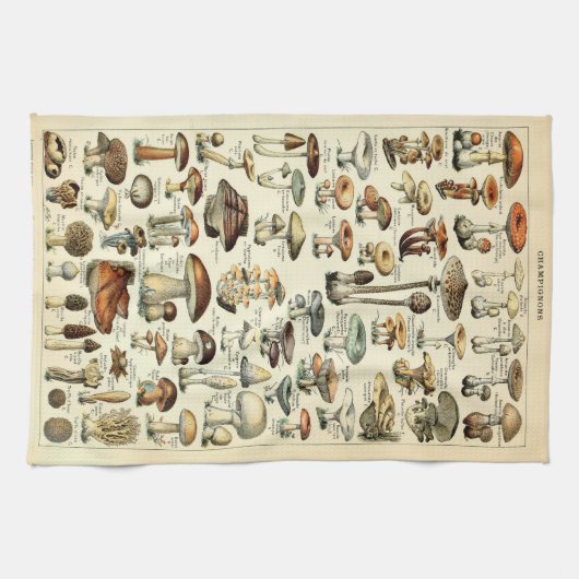  paddenstoelkunst van 1909 van Adolphe Millot Theedoek (Horizontaal)