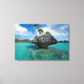 Paddenstoelmolen op Fiji Canvas Afdruk (Voorkant)