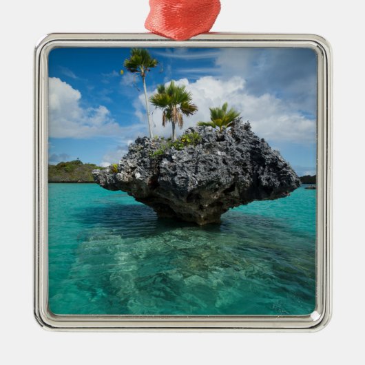 Paddenstoelmolen op Fiji Metalen Ornament (Voorkant)