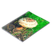 PaddenstoelNotitieboek Notitieboek (Linkerzijde)