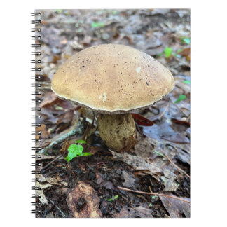 PaddenstoelNotitieboek Notitieboek