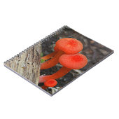 PaddenstoelNotitieboek Notitieboek (Linkerzijde)