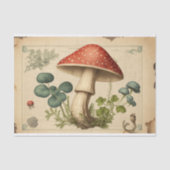  paddenstoelontkoppeling tissuepapier (Voorkant)