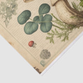  paddenstoelontkoppeling tissuepapier (Detail)