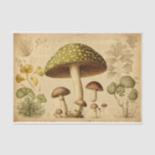 paddenstoelontkoppelpapier tissuepapier (Voorkant)