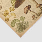 paddenstoelontkoppelpapier tissuepapier (Detail)