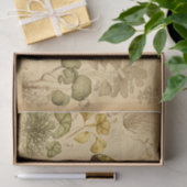 paddenstoelontkoppelpapier tissuepapier (Geschenk)