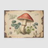 paddenstoelpapier ontkoppeling tissuepapier (Voorkant)