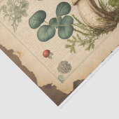 paddenstoelpapier ontkoppeling tissuepapier (Detail)