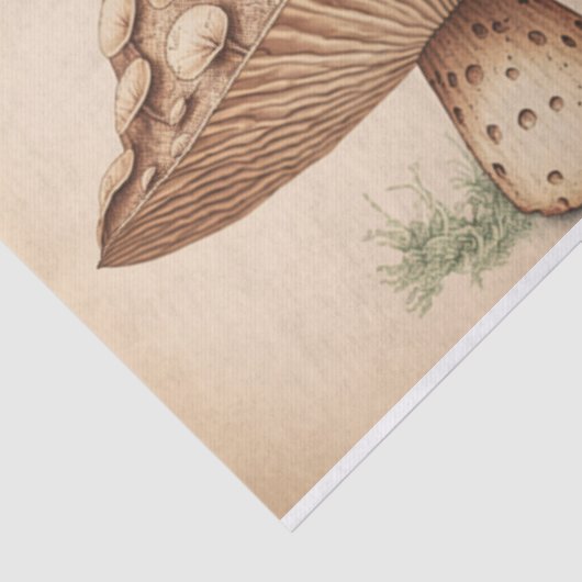 paddenstoelpapier tissuepapier (Detail)