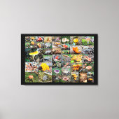 Paddenstoelplant — Montgomery County PA Canvas Afdruk (Voorkant)