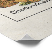 PaddenstoelPoster Poster (Hoek)