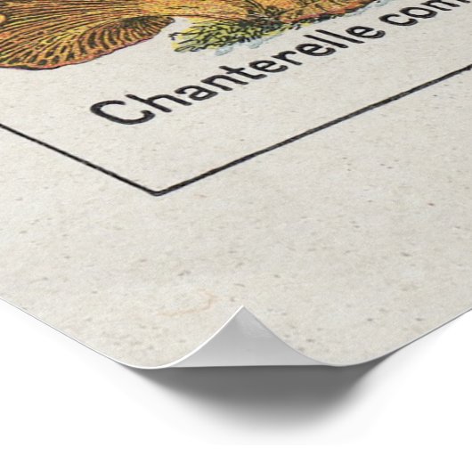 PaddenstoelPoster Poster (Hoek)