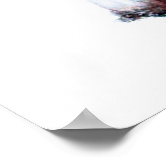 PaddenstoelPoster Poster (Hoek)