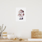 PaddenstoelPoster Poster (Keuken)