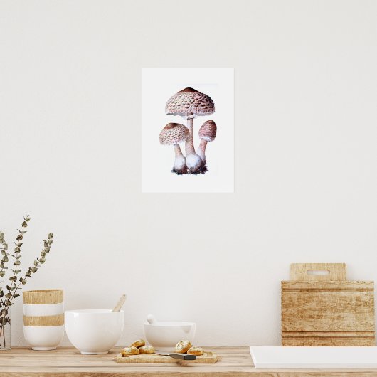 PaddenstoelPoster Poster (Keuken)