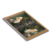 paddenstoelreflecties notitieboek (Rechterzijde)