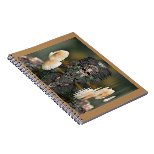 paddenstoelreflecties notitieboek (Rechterzijde)