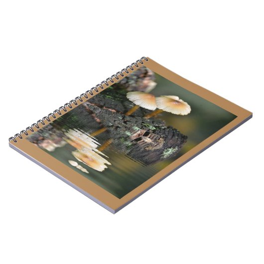 paddenstoelreflecties notitieboek (Linkerzijde)