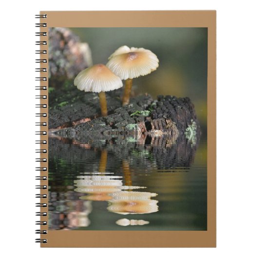 paddenstoelreflecties notitieboek (Voorkant)