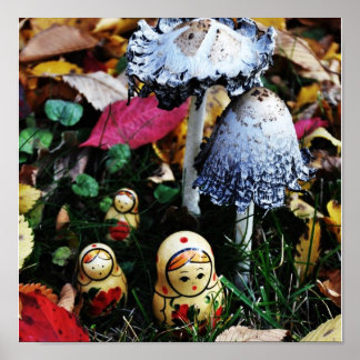 Paddenstoelreis Poster