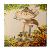 Paddenstoelsoorten Slang Agarisch | Tegeltje (Voorkant)