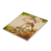 Paddenstoelsoorten Slang Agarisch | Tegeltje (Zijkant)