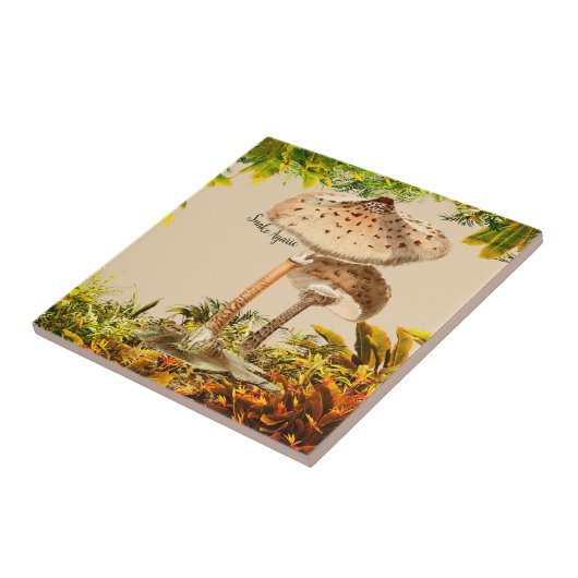 Paddenstoelsoorten Slang Agarisch | Tegeltje (Zijkant)