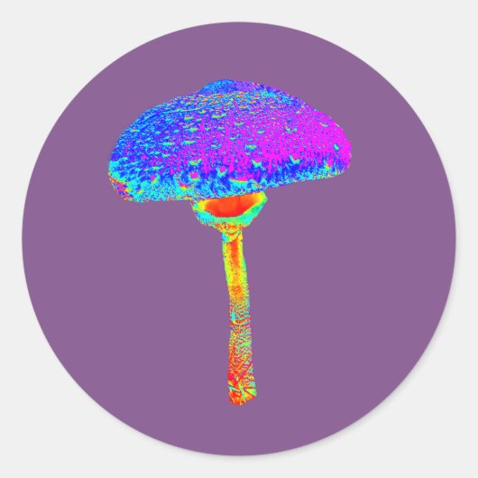 Paddenstoelsticker Ronde Sticker (Voorkant)
