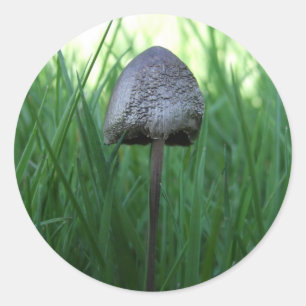 paddenstoeltjes ronde sticker