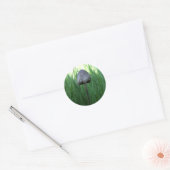 paddenstoeltjes ronde sticker (Envelop)