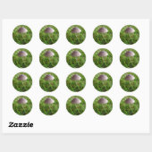 paddenstoeltjes ronde sticker (Vel)