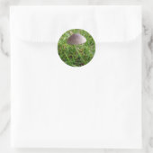 paddenstoeltjes ronde sticker (Tas)