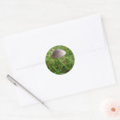 paddenstoeltjes ronde sticker (Envelop)
