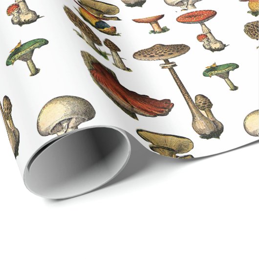  paddenstoelwerkpapier cadeaupapier (Rol Hoek)