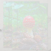 Paddestoel - 8,5" x 11" briefpapier blad (Voorkant / Achterkant)